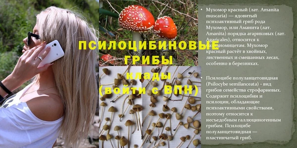 МДМА Коряжма