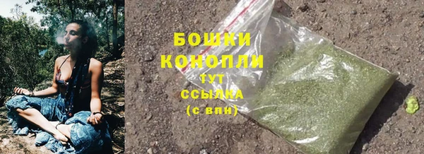 2c-b Костерёво