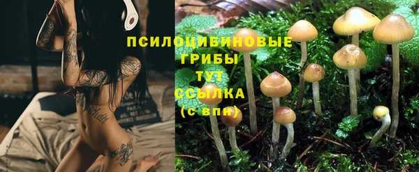 2c-b Костерёво