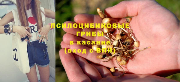 2c-b Костерёво