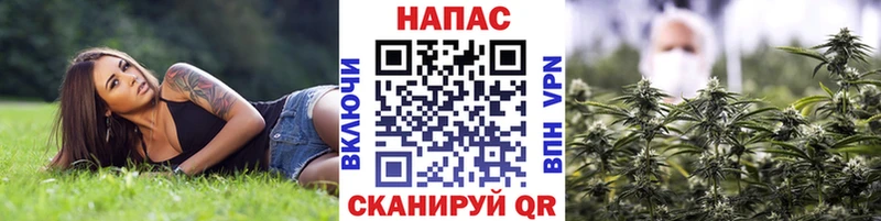 Купить  Чулым  Шишки марихуана семена 